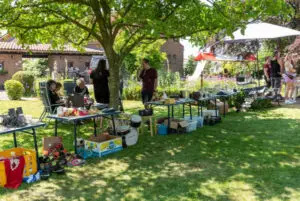 Afbeelding van een markt op een grasveld