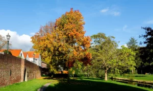 IJSSELSTEIN - De Yselvaert organiseert al meer dan 20 jaar bijzondere vaartochten door de stadsgracht van IJsselstein en naar het buitengebied. Sinds dit voorjaar is daar als nieuw programmaonderdeel de Vestingvaart bijgekomen.